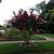Arlene Berentz's profile image