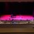 Susan Shafer's profile image