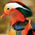 Eric Swango's profile image
