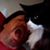 Jeff Crouch's profile image