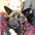 Debbie Blauss's profile image