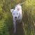 Gemma Tarlach's profile image