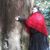 Leah Spitzer's profile image