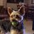 Don Derouin's profile image