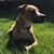 Amanda Kearney-Smith's profile image