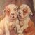 Geoffrey Brittingham's profile image