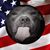 Brian Millgard's profile image