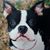 Kimberly Tanner Wallace's profile image