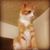 Jorge Luis Camano's profile image