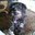 K Castillo's profile image
