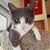 Janice Mehringer McKeever's profile image