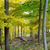 Lorraine Swick Sanfilippo's profile image