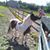 Riley Arns's profile image