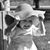 Abby Gauley's profile image
