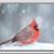 Linda Donahue Walker's profile image