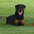 Edith Riemer's profile image