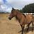 Kathy 'Walker' Lundblad's profile image