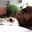 Inge Tomlin's profile image