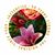 Sharrie McPherson's profile image
