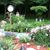 Mary Musselman's profile image