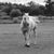 Valerie Poulter Stone's profile image