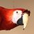 Aut Fuller's profile image