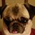 Shelly Thompson's profile image