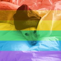 Rick Renner's profile image