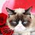 Sandra Oberbroeckling's profile image