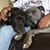 Amylyn Besse's profile image