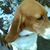 Billie J Hayden's profile image