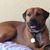 Pamela Cranton's profile image