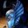 Richard Dressler's profile image