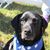 Jennifer Smith Salaj's profile image