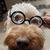 Jeff Ewert's profile image