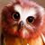 Kathy Cole's profile image