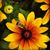 Laura Jones's profile image