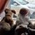 Samantha Nagle's profile image
