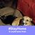 Maggi Vanos's profile image