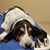 Mark Roff's profile image