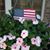 Carol Harris's profile image
