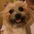 Karen Tolley's profile image