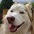 Stephanie Mesler's profile image