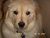 T P.'s profile image