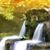 Sonia Azmat Hammad's profile image