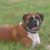 Karen Roberts's profile image