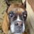 Steve Beaston Sr's profile image