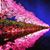 Tahani Andher-Liloleopinion's profile image