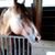 Donna Bird's profile image