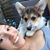 Sara Wagner's profile image